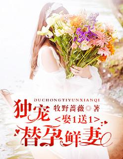 我和空姐在荒岛走错