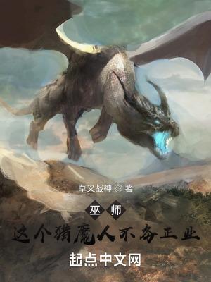 巫师这个猎魔人不务正业完整版 巫师这个猎魔人不务正业完整版