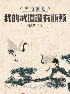 我的武道面板