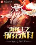 海贼镜花水月 海贼镜花水月