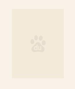 真千金的掉马日常 真千金的掉马日常