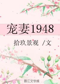 宠妻1949