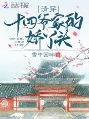 清穿嫁给十四爷的