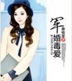 军婚有毒txt