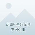 我有一个修仙世界境界划分