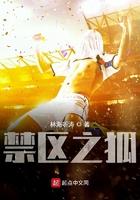 我真没想当训练家啊 北川南海 我真没想当训练家啊 北川南海