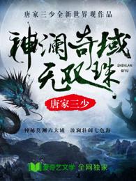 神澜奇域无双珠 神澜奇域无双珠