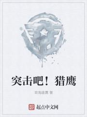 突击吧!猎鹰 突击吧!猎鹰