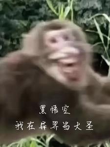 另类保镖龙潜都市 另类保镖龙潜都市